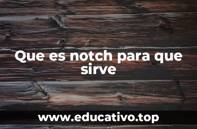 Que es notch para que sirve