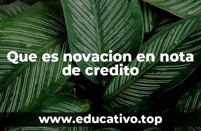 Que es novacion en nota de credito