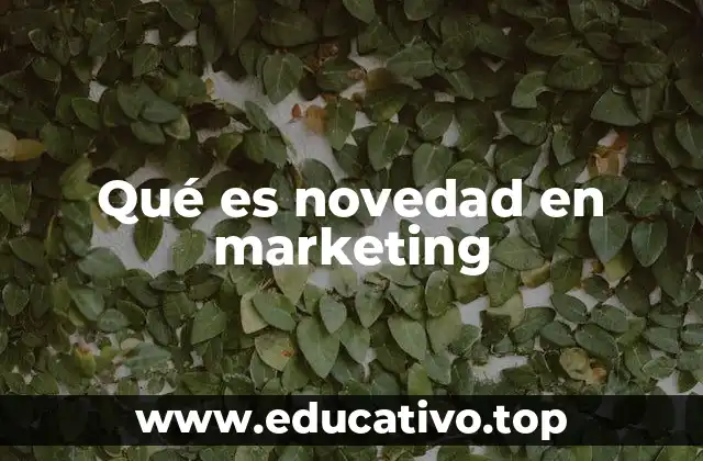 Qué es novedad en marketing
