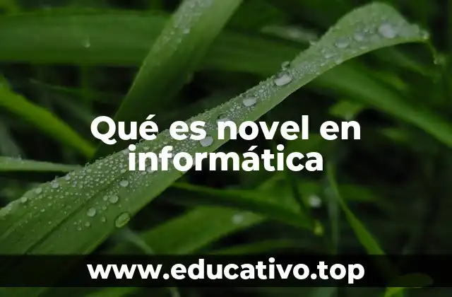 Qué es novel en informática
