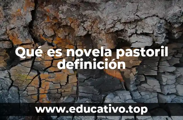 Qué es novela pastoril definición