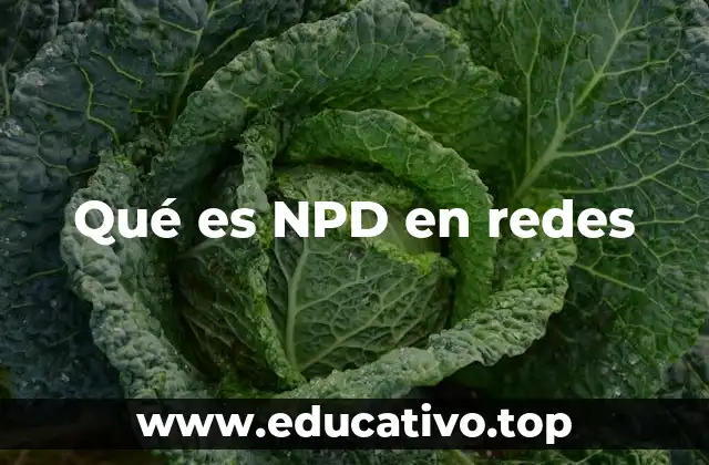 Qué es NPD en redes