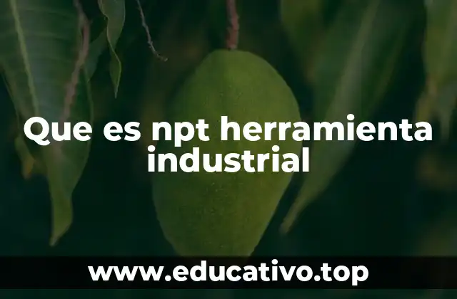 Que es npt herramienta industrial