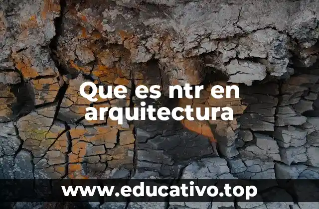 Que es ntr en arquitectura