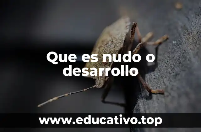 Que es nudo o desarrollo