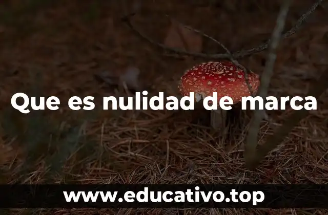 Que es nulidad de marca