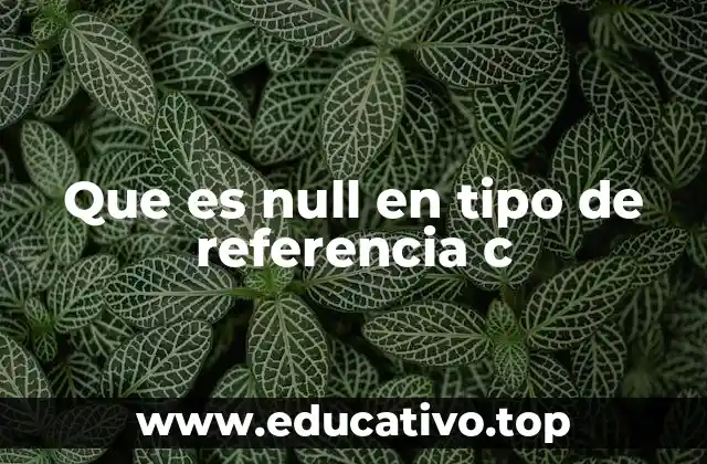 Que es null en tipo de referencia c
