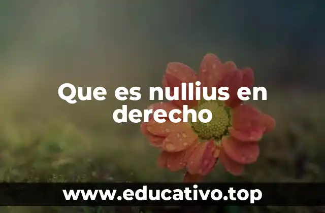 Que es nullius en derecho