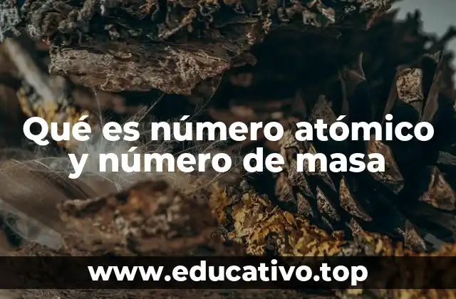 Qué es número atómico y número de masa
