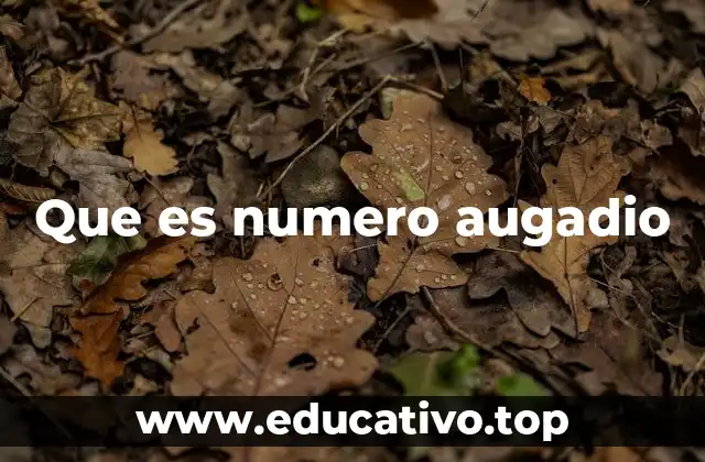Que es numero augadio