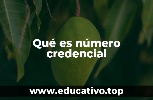 El número de credencial y su importancia en la vida moderna