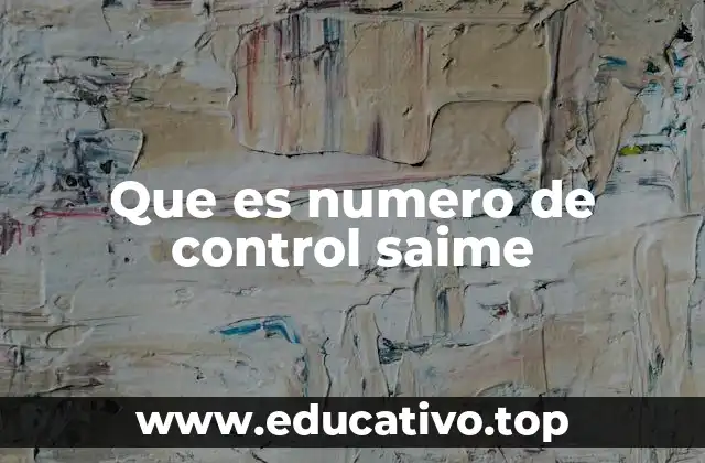 Que es numero de control saime