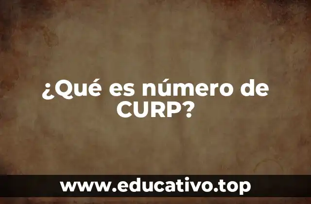 El papel del CURP en la identidad digital