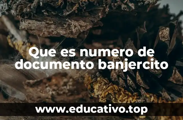 Que es numero de documento banjercito