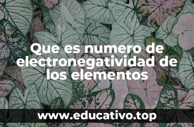 Que es numero de electronegatividad de los elementos