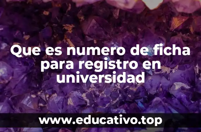 Que es numero de ficha para registro en universidad