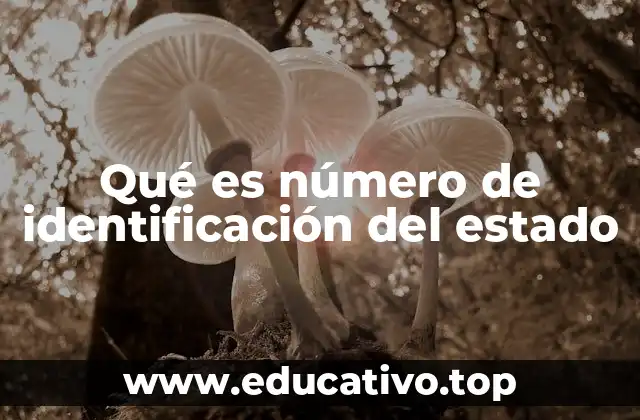 Qué es número de identificación del estado