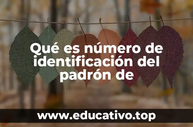 Qué es número de identificación del padrón de