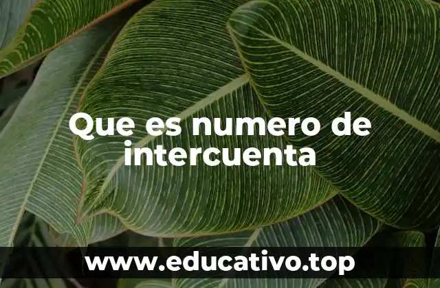 Que es numero de intercuenta