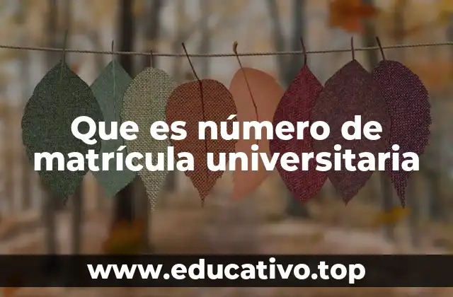 Que es número de matrícula universitaria