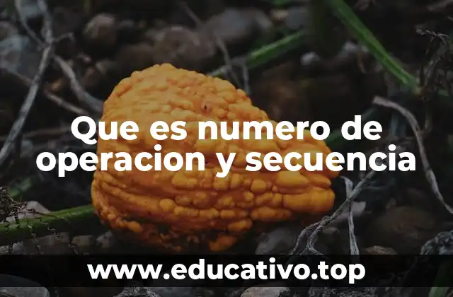 Que es numero de operacion y secuencia