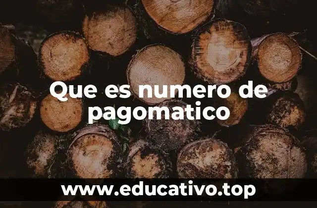 Que es numero de pagomatico