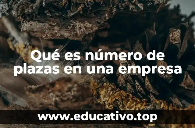 Qué es número de plazas en una empresa
