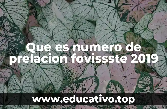 Que es numero de prelacion fovissste 2019