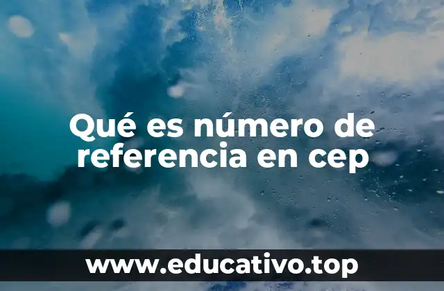 La importancia del número de referencia en el CEP