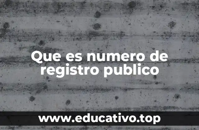 Que es numero de registro publico