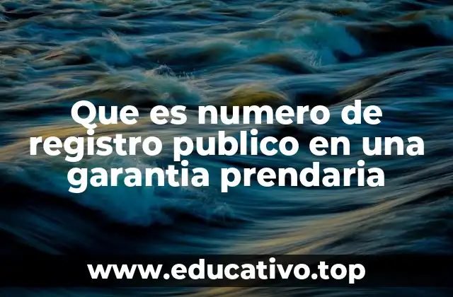 Que es numero de registro publico en una garantia prendaria