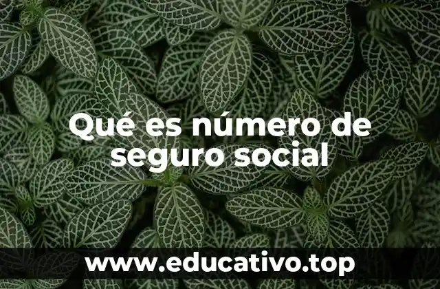 Qué es número de seguro social