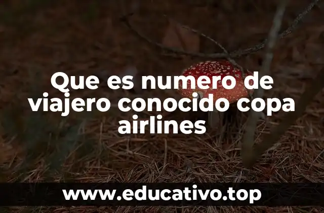 Que es numero de viajero conocido copa airlines