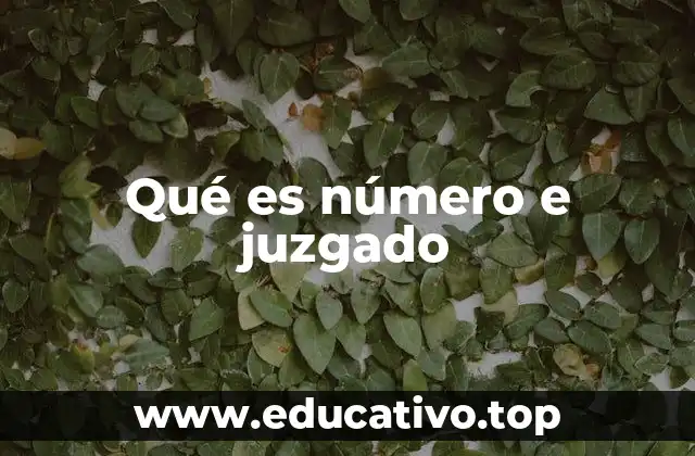 Qué es número e juzgado