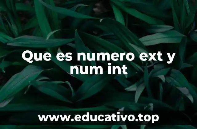 Que es numero ext y num int