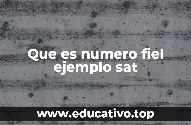 Que es numero fiel ejemplo sat