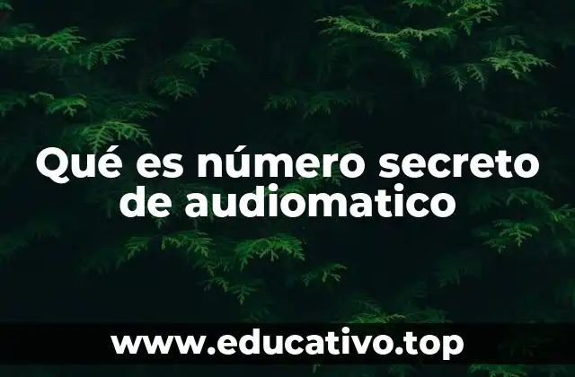 Qué es número secreto de audiomatico