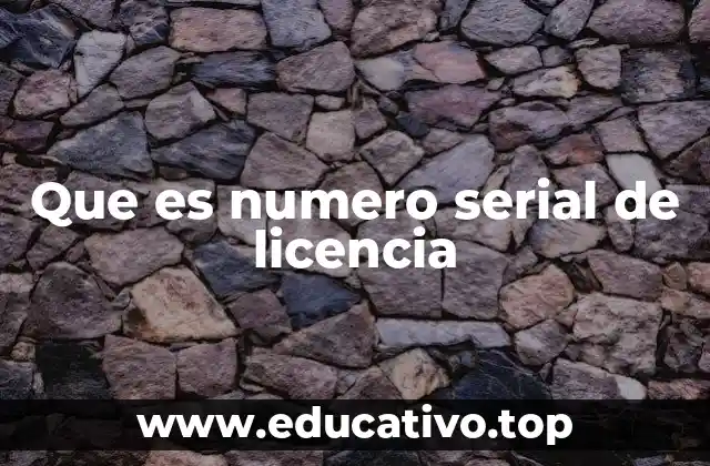 Que es numero serial de licencia