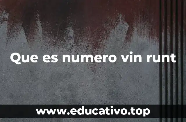 La importancia del número VIN en el registro vehicular