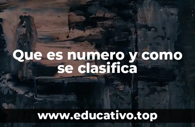 Que es numero y como se clasifica
