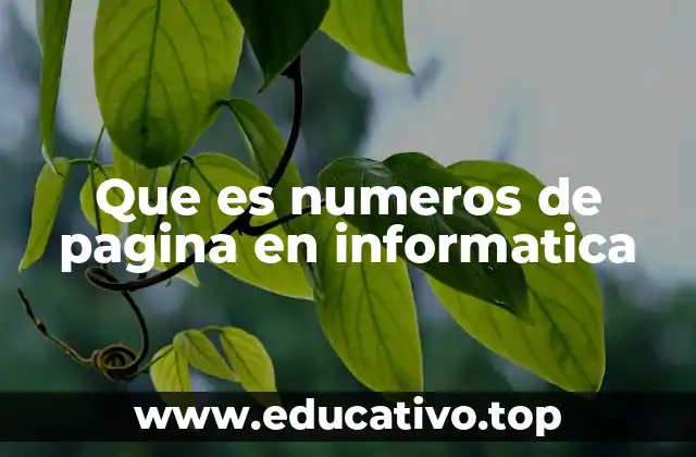 Que es numeros de pagina en informatica