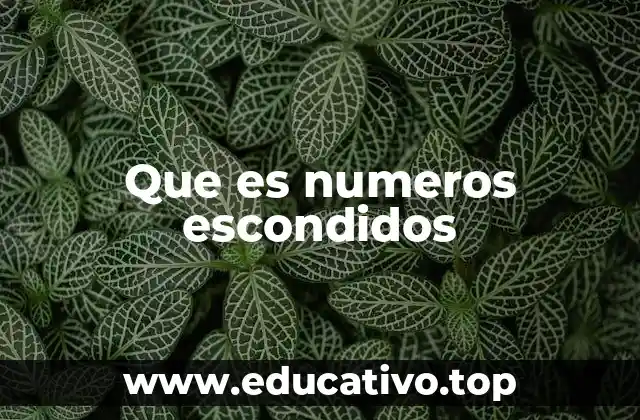 Que es numeros escondidos