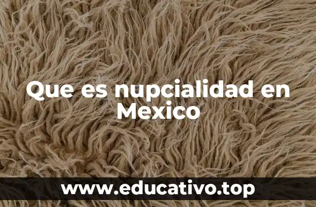 Que es nupcialidad en Mexico