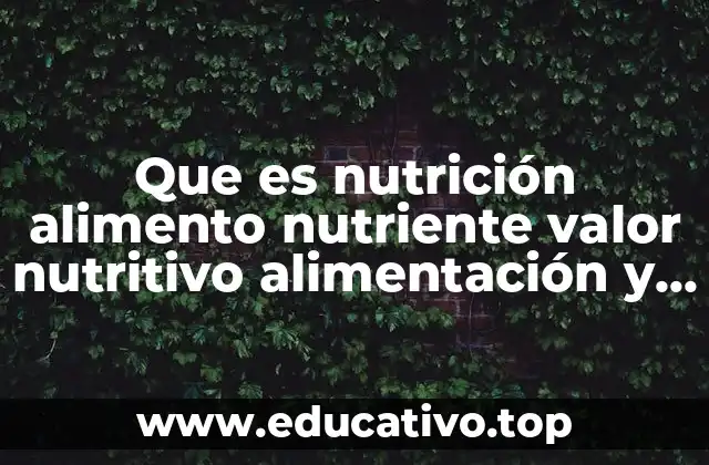 Que es nutrición alimento nutriente valor nutritivo alimentación y digestión