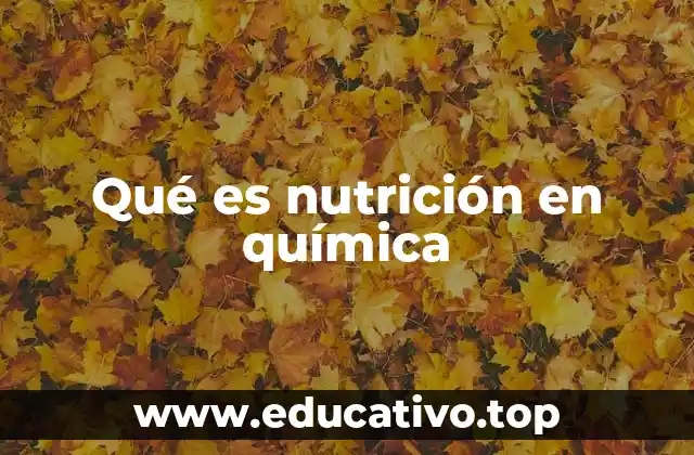 Qué es nutrición en química