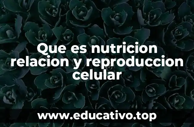 Que es nutricion relacion y reproduccion celular