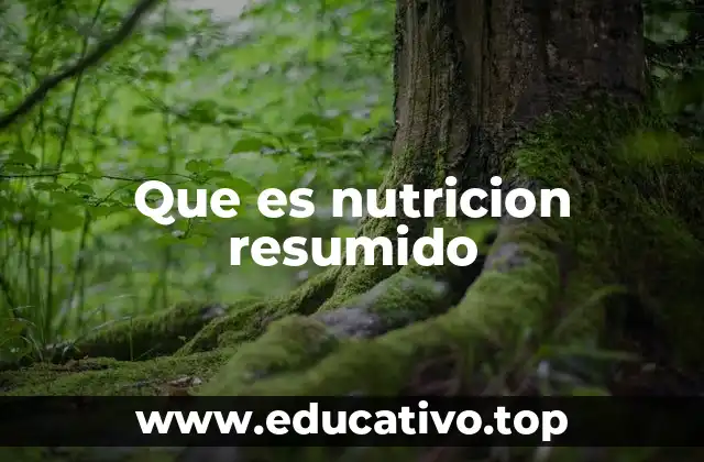 Que es nutricion resumido
