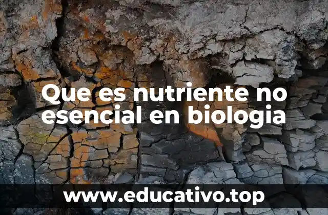 Que es nutriente no esencial en biologia