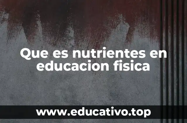 La relación entre nutrición y rendimiento físico