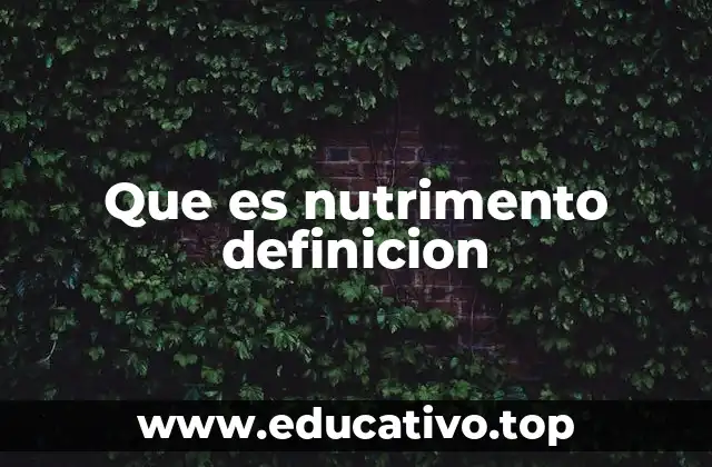 La importancia de los nutrimentos en el organismo